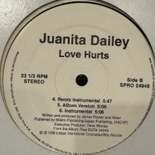 他の写真1: Juanita Dailey - Love Hurts (12'')