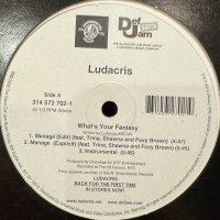 Ludacris - What's Your Fantasy / Ho (12'')