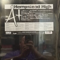 A+ - Hempstead High (LP) (奇跡の新品未開封!!)