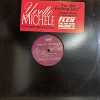 Yvette Michele - I'm Not Feeling You (Reggae Remix) (12'') (キレイ！！)