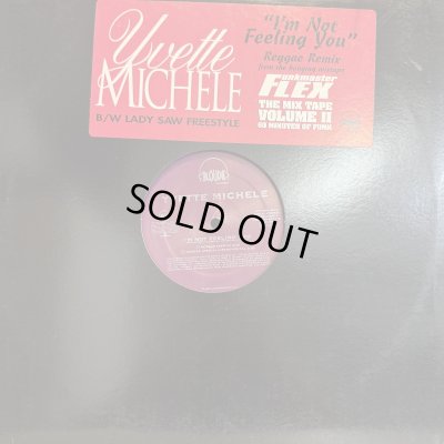 画像1: Yvette Michele - I'm Not Feeling You (Reggae Remix) (12'') (キレイ！！)