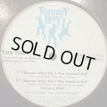 Tony Touch feat. Keisha & Pam Of Total - I Wonder Why? (He's The Greatest DJ) (Muro Remix) (12'') (激レア国内プロモオンリー !!) (キレイ！！)