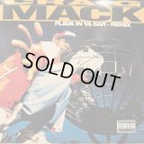 Craig Mack feat. Busta Rhymes, LL Cool J, The Notorious B.I.G. & Rampage - Flava In Ya Ear (Remix) (12'') (キレイ！！)
