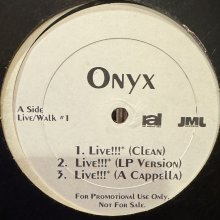 他の写真1: Onyx - Walk In New York (12'')