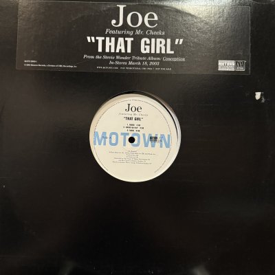 画像1: Joe feat. Mr. Cheeks - That Girl (12'') (キレイ！！)