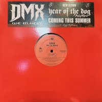 DMX - We In Here (12'')