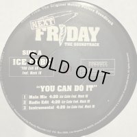 Ice Cube - You Can Do It (12'')