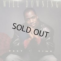 Will Downing - Test Of Time (12'') (キレイ！！)