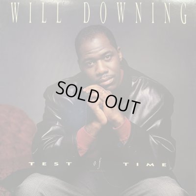 画像1: Will Downing - Test Of Time (12'') (キレイ！！)