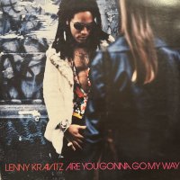 Lenny Kravitz - Are You Gonna Go My Way (LP)