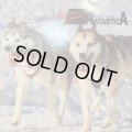Jon Ice - Theme From Antartica (12'') (特価！！)