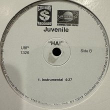 他の写真1: Juvenile - Ha! (12'')