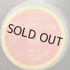 Big Mountain - The Wave Of Love (b/w Let's Stay Together