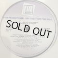 Public Enemy - Fight The Power (Powersax !!!!!) (12'')