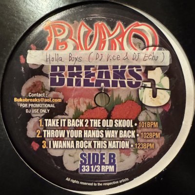 画像1: Holla Boys - Take It Back 2 The Old Skool (12'')