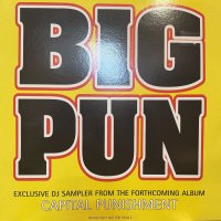 Big Punisher - Capital Punishment 5 Tracks Promo EP (12'') (キレイ！)