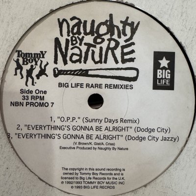 画像1: Naughty By Nature - Big Life Rare Remixies (12'')