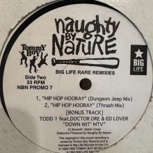 他の写真1: Naughty By Nature - Big Life Rare Remixies (12'')