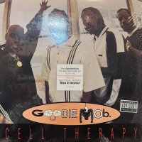 Goodie Mob - Cell Therapy / Soul Food (12'') (キレイ！！)