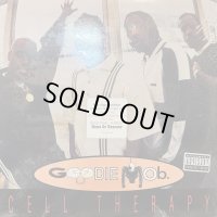 Goodie Mob - Cell Therapy / Soul Food (12'') (キレイ！！)