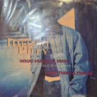 Melvin Riley - Goin' Thru A Thang (12'') (奇跡の新品未開封!!)