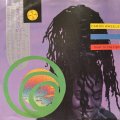 Caron Wheeler - Livin' In The Light (12'')