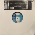 Joy Denalane feat. Scorpio - Can't Stop Won't Stop (12'') (EU Original Press !!)