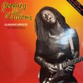 Geoffrey Williams -Summer Breeze (12'') (キレイ!!)