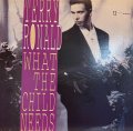 Terry Ronald - What The Child Needs (12'')