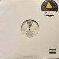 Maestro Fresh-Wes - How Many Styles (12'') (US Promo !!)
