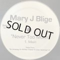 Mary J. Blige - Never Too Much (12'') (キレイ！！)