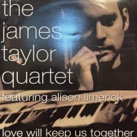 The James Taylor Quartet feat. Alison Limerick - Love Will Keep Us Together (12'') (UK Original Press !!)