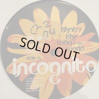 Incognito - That's The Way Of The World / Raise (Remix) (12'')