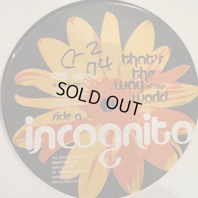 画像1: Incognito - That's The Way Of The World / Raise (Remix) (12'')