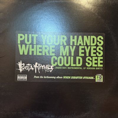 画像1: Busta Rhymes - Put Your Hands Where My Eyes Could See (12'')