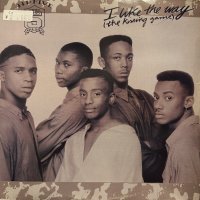 Hi-Five - I Like The Way (The Kissing Game) (12'') (US Original !!)