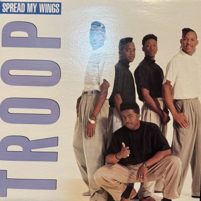 画像1: Troop - Spread My Wings (12'') (正真正銘のUS Original Press !!) (キレイ!!)