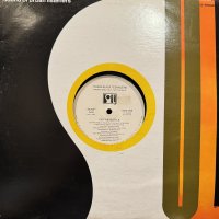 Young Black Teenagers - Tap The Bottle (12'') (US Promo !!)