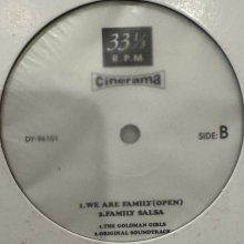 他の写真1: The Goldman Girls - We Are Family (12'') (キレイ!!)