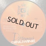 Ginuwine - Differences (b/w Tribute To A Woman) (12'')