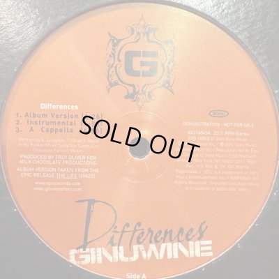 画像1: Ginuwine - Differences (b/w Tribute To A Woman) (12'')