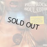 Pete Rock - Soul Survivor (2LP) (キレイ!!)