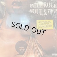 Pete Rock - Soul Survivor (2LP) (キレイ!!)