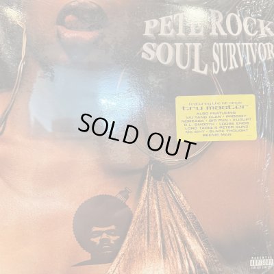 画像1: Pete Rock - Soul Survivor (2LP) (キレイ!!)