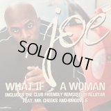 Joe - What If A Woman (12'') (レアなジャケ付きEU盤！！)