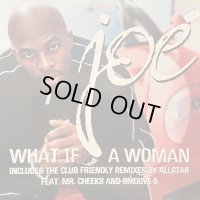Joe - What If A Woman (12'') (レアなジャケ付きEU盤！！)