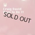 Craig David - Time To Party (12'') (UK Original Press !!)