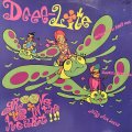Deee-Lite - Groove Is In The Heart (12'') (キレイ!!)