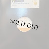 Pushim - I Wanna Know You (12'')