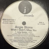 Angie Stone - Wish I Didn't Miss You (12'')